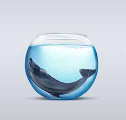 Dolphin in glass aquarium on light background. Anti-Captivity Campaign