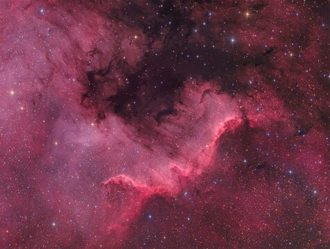The North America nebula or NGC 7000 in the constellation Cygnus