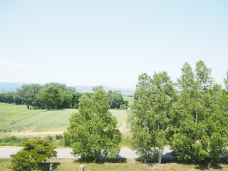 美瑛の美しい初夏の田園風景