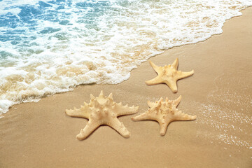 Fototapeta na wymiar Beautiful waves and sea stars on sandy beach