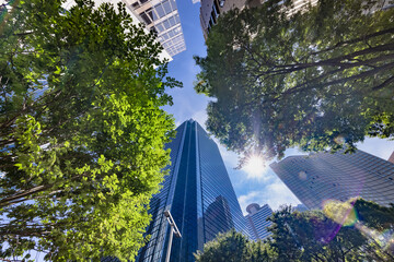 爽やかな朝の光に照らされた東京のビル群