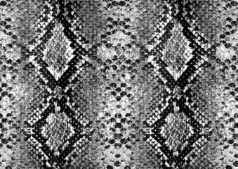 Keuken foto achterwand Dierenhuid Slangenhuid zwart-wit halftoonpatroon dierenhuid naadloos ontwerp