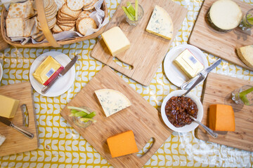 Fototapeta na wymiar cheese board 