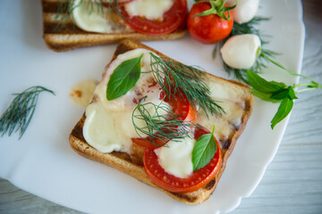 fried hot toast with mozzarella and tomatoes in a plate