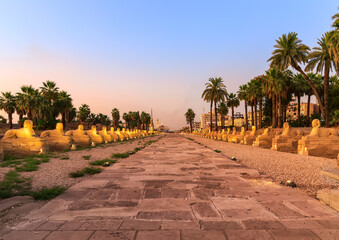 Luxor city, Sphinx alley evening view, Egypt