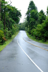 Beautiful and fertile nature and forests