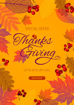 Thanksgiving day banner, autumn template, vector image