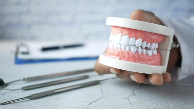 doctor hand holding plastic dental teeth model on table 
