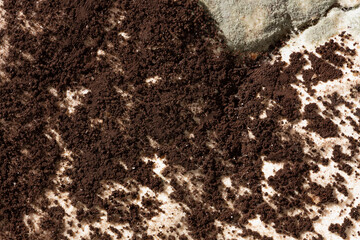 Moldy fungus on food. Fluffy spores mold as a background. Mold fungus. Shallow depth of field
