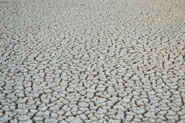 dry crack soil in country Thailand