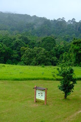 Beautiful and fertile nature and forests