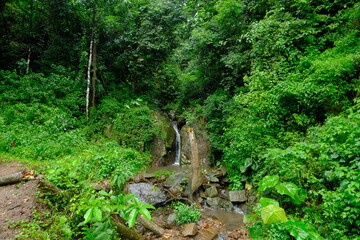 Beautiful and fertile nature and forests