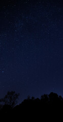 Fototapeta na wymiar Bright night sky in North Carolina