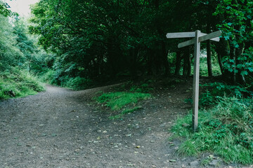 Direction sign on a forest crossroad pathway, outdoor navigation.