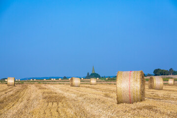 bales of straw in the landscape