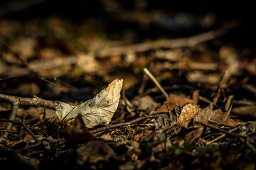 Lost Place