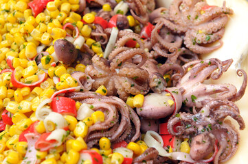 Insalata di polpo. Polpo fresco. 