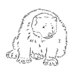 vector hand sketch drawing illustration of a wolverine done in black and white