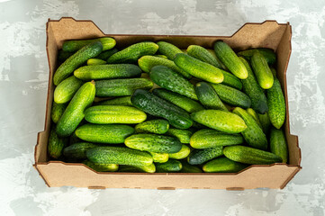 A box full of medium-sized cucumbers.