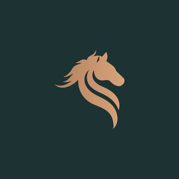 Horse logo design premium concept
