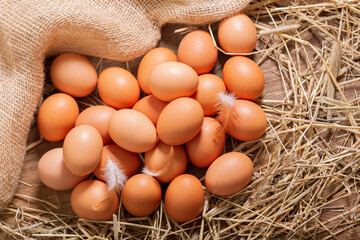 chicken eggs in hay nest