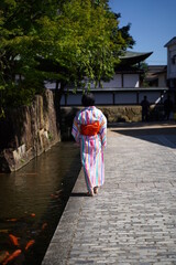 Carps are swimming in a Seto river in Hidafurukawa  Gifu japan.