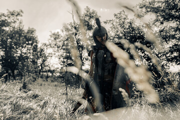 Ancient Spartan warrior in battle dress stands on meadow with shield and sword.