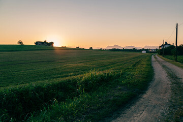 Obraz premium Colorful sunset in the fields of Friuli Venezia-Giulia
