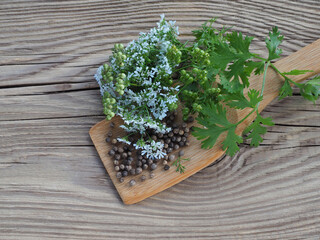 Ripe and green seeds, spicy grass and coriander flowers in a wooden spoon on a wooden table, flat layout. Medicinal plant coriandrum sativum for use in cooking, medicine and cosmetology - obrazy, fototapety, plakaty