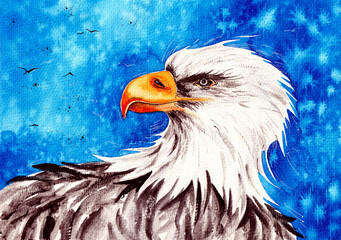 Eagle Head Watercolor Illustration Painting at the paper. Original Artistic watercolour Bird Animal artwork can be used for print wallpaper background or design.