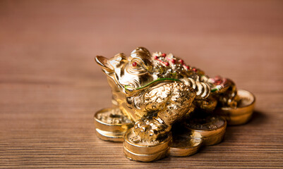 a three-legged golden toad with a coin in its mouth,feng shui