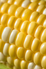 Raw Yellow Organic Corn on the Cob