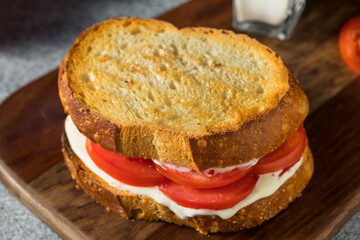 Healthy Homemade Tomato Sandwich