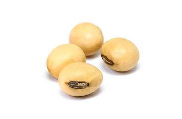 Closeup soybean isolated on white background.