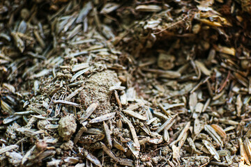 fertilized soil chaff for planting