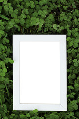 blank white wooden frame on clover leaves background