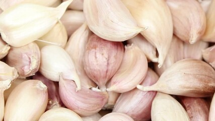 Allium sativum for cooking in the kitchen