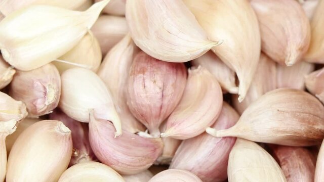 Allium sativum for cooking in the kitchen