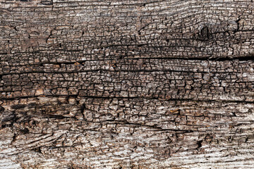 background in the form of an old ugly wooden surface