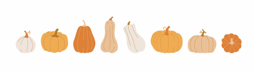Pumpkin set. Cute hand drawn pumpkins in various sizes and colors. Vector concept banner for Thanksgiving or Halloween day. - 454762310