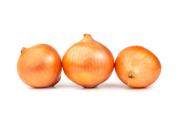 fresh raw onions isolated on white background