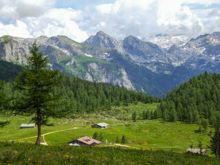 Fototapeta na wymiar Beautiful nature scenery at Gotzenalm, Berchtesgaden national park, Germany