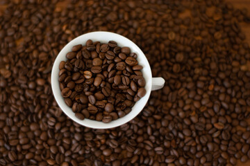 coffe arabica