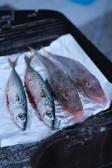 Some fish on a barbecue.