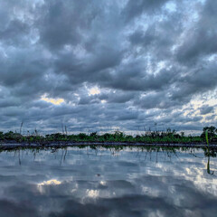 Cielo reflejado en el charco