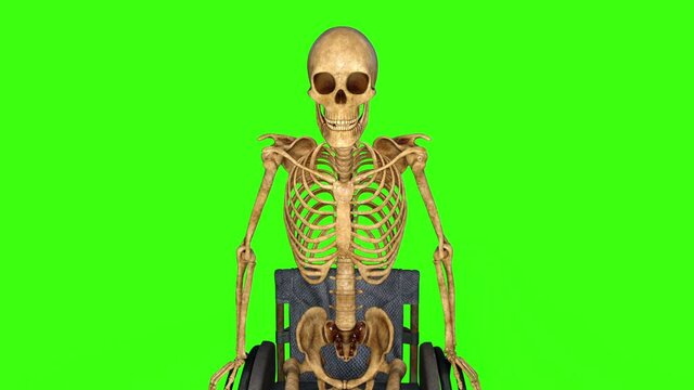 zombie skeleton rolling on a wheelchair, animation, green background