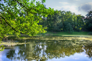 Beautiful lake in the city park in the autumn season