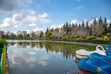boats on the lake