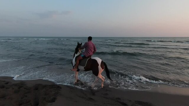 Horseback riding on a tropical beach along the coast of the Ocean. Young skilled man horse riders move against the beautiful sunset. Exotic sandy beach on a tropical coast.