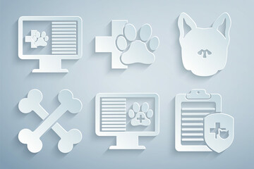 Set Clinical record pet on monitor, Dog, Crossed bones, , Veterinary clinic and icon. Vector